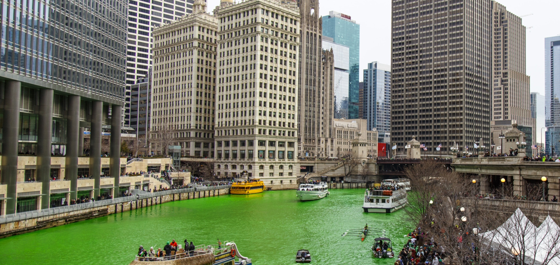 chicago river green: cuando el río se vuelve verde 2