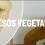 Väcka: La Startup Española que revoluciona el mercado de quesos vegetales 
