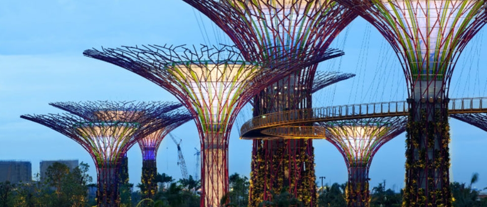singapur jardin del futuro 1