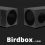 Birdbox – la cabaña minimalista para aventureros.